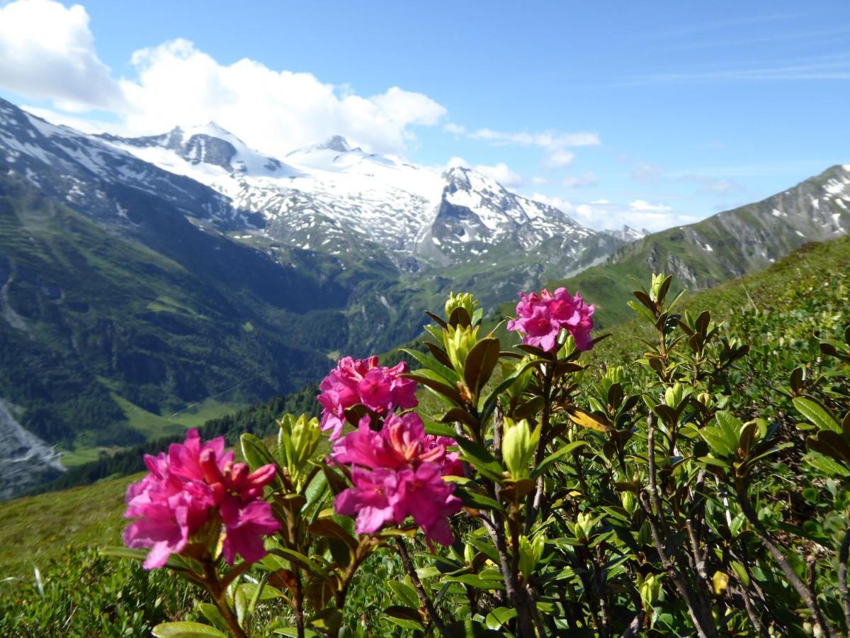 Apartmán Alpenrose Tux Exteriér fotografie